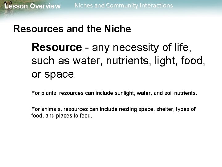Lesson Overview Niches and Community Interactions Resources and the Niche Resource - any necessity