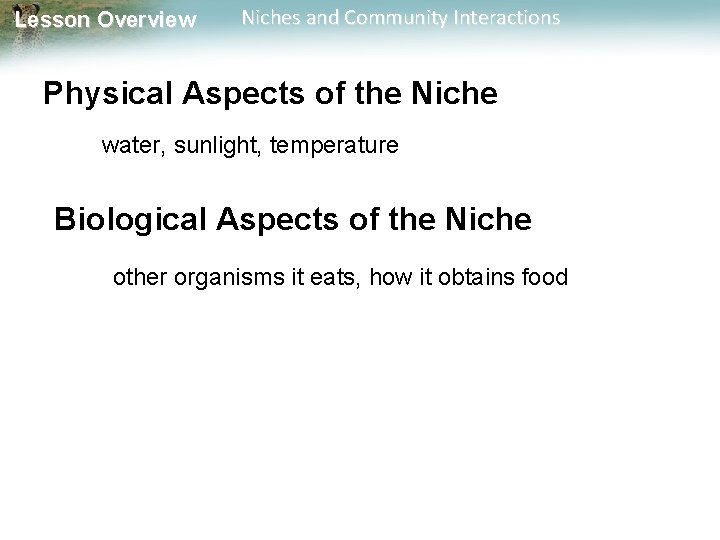 Lesson Overview Niches and Community Interactions Physical Aspects of the Niche water, sunlight, temperature