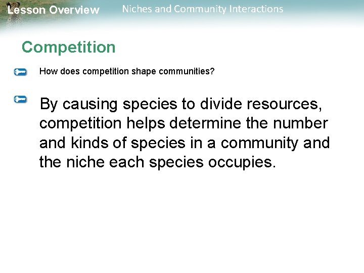 Lesson Overview Niches and Community Interactions Competition How does competition shape communities? By causing