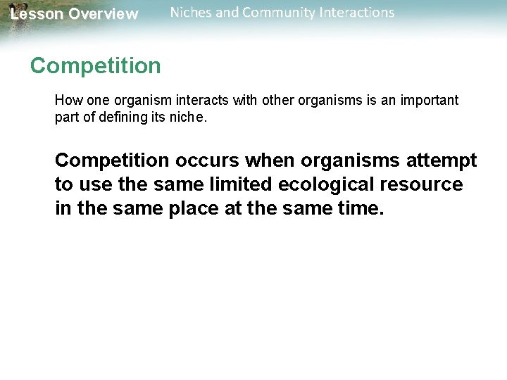 Lesson Overview Niches and Community Interactions Competition How one organism interacts with other organisms