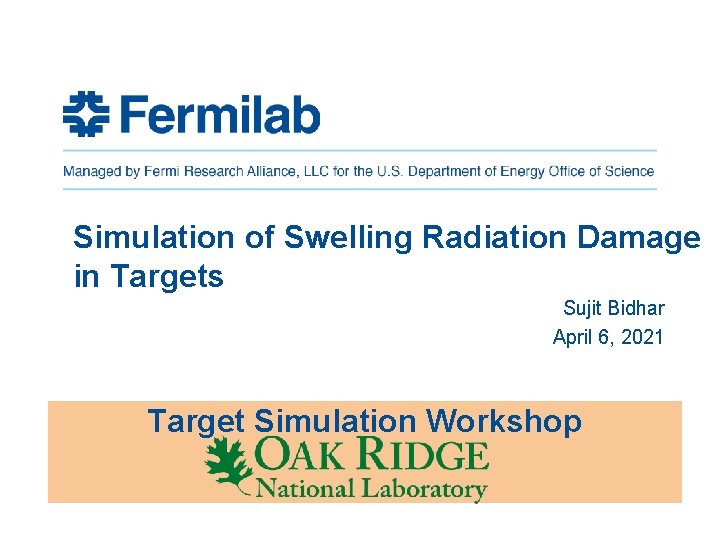 Simulation of Swelling Radiation Damage in Targets Sujit Bidhar April 6, 2021 Target Simulation