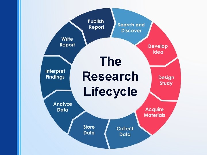 The Research Lifecycle 
