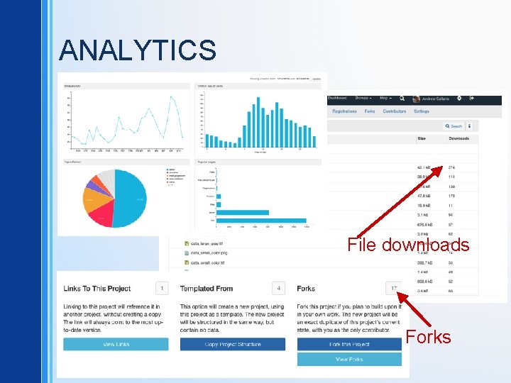 ANALYTICS File downloads Forks 