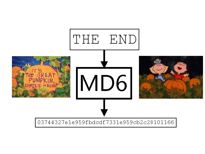 THE END MD 6 03744327 e 1 e 959 fbdcdf 7331 e 959 cb