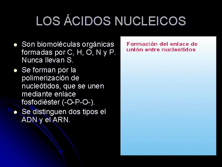 LOS ÁCIDOS NUCLEICOS l l l Son biomoléculas orgánicas formadas por C, H, O,