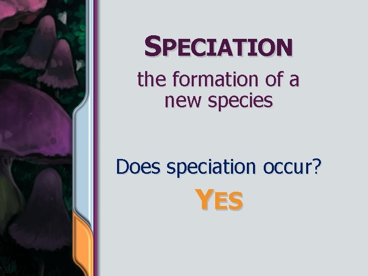 SPECIATION the formation of a new species Does speciation occur? YES 