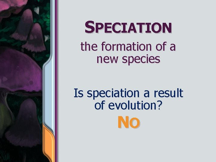 SPECIATION the formation of a new species Is speciation a result of evolution? NO