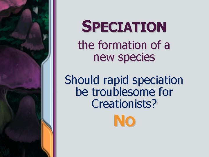 SPECIATION the formation of a new species Should rapid speciation be troublesome for Creationists?