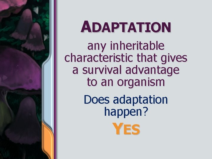 ADAPTATION any inheritable characteristic that gives a survival advantage to an organism Does adaptation
