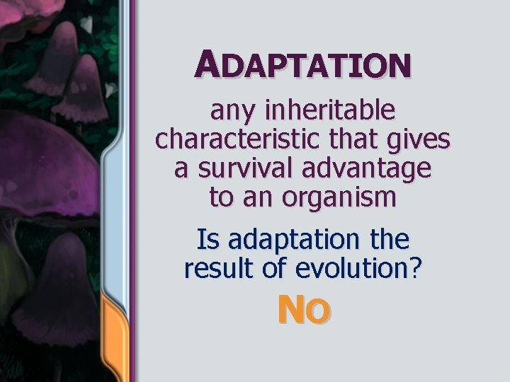 ADAPTATION any inheritable characteristic that gives a survival advantage to an organism Is adaptation