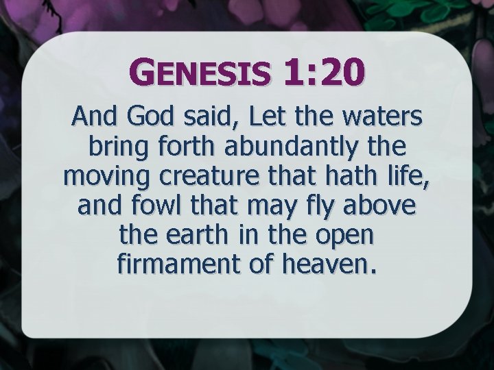 GENESIS 1: 20 And God said, Let the waters bring forth abundantly the moving