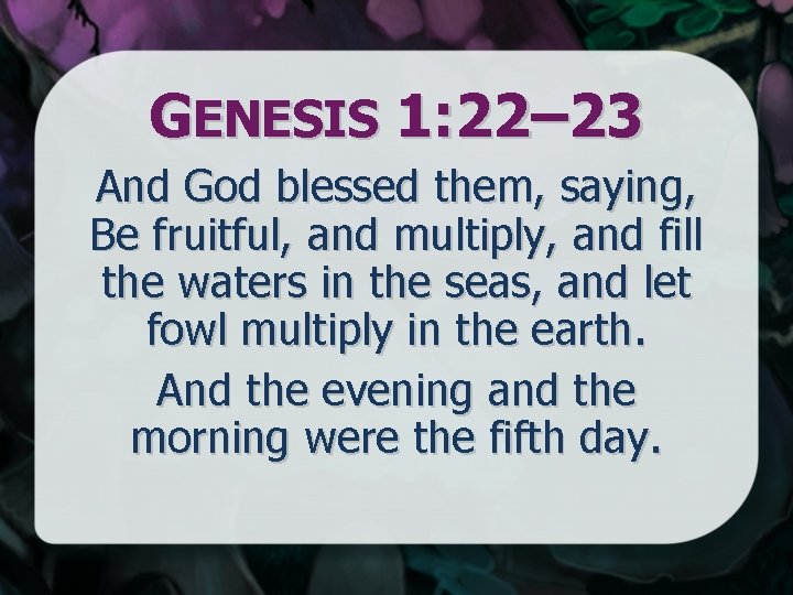 GENESIS 1: 22– 23 And God blessed them, saying, Be fruitful, and multiply, and