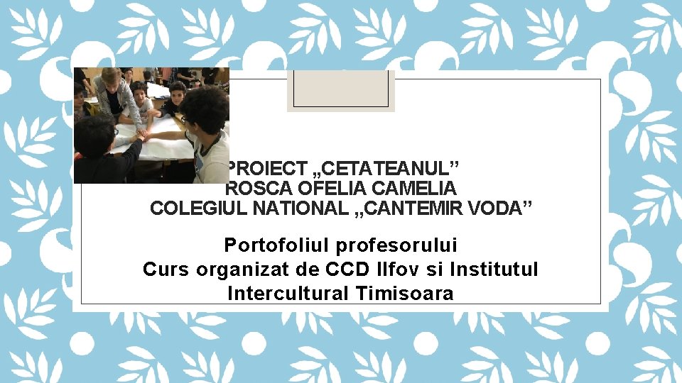 PROIECT , , CETATEANUL” ROSCA OFELIA CAMELIA COLEGIUL NATIONAL , , CANTEMIR VODA” Portofoliul