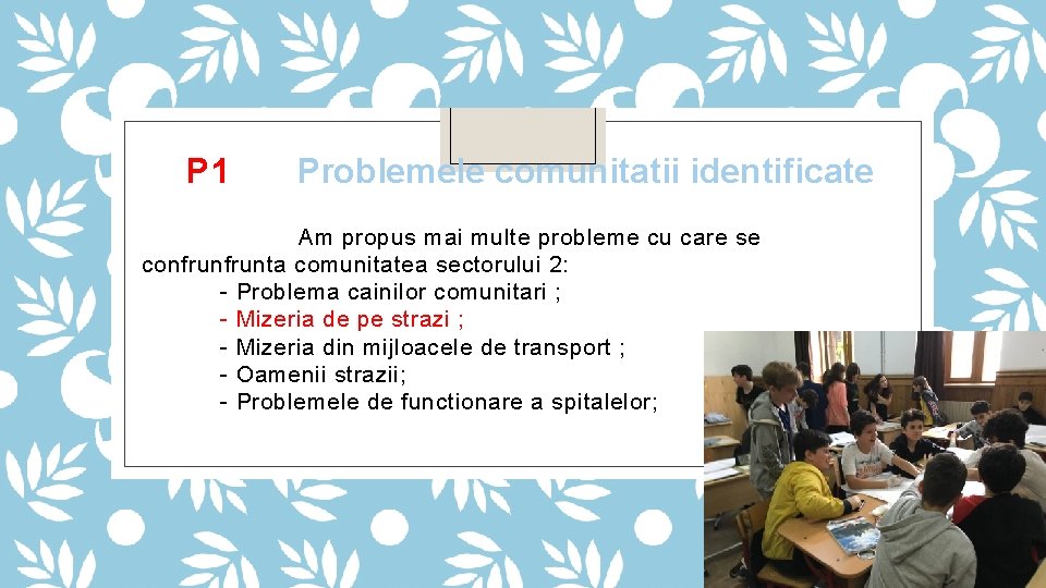 P 1 Problemele comunitatii identificate Am propus mai multe probleme cu care se confrunta