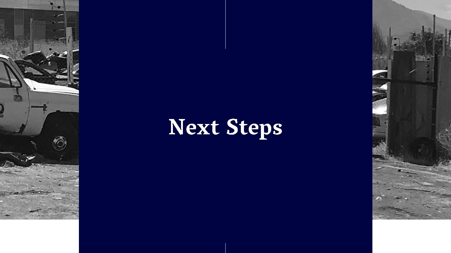 Next Steps 