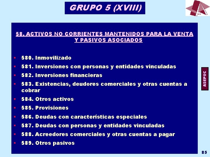 GRUPO 5 (XVIII) § 580. Inmovilizado § 581. Inversiones con personas y entidades vinculadas