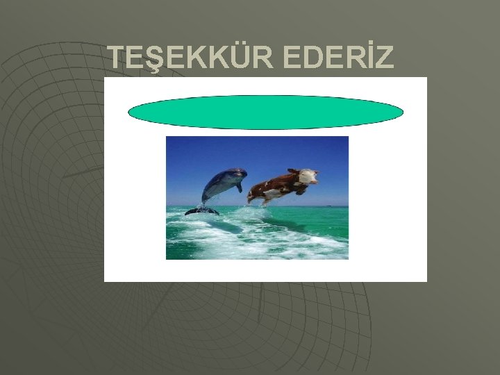 TEŞEKKÜR EDERİZ 