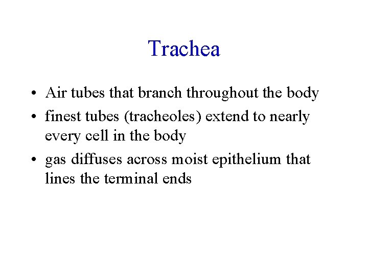 Trachea • Air tubes that branch throughout the body • finest tubes (tracheoles) extend
