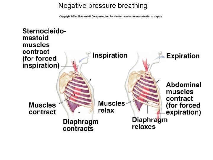 Negative pressure breathing 