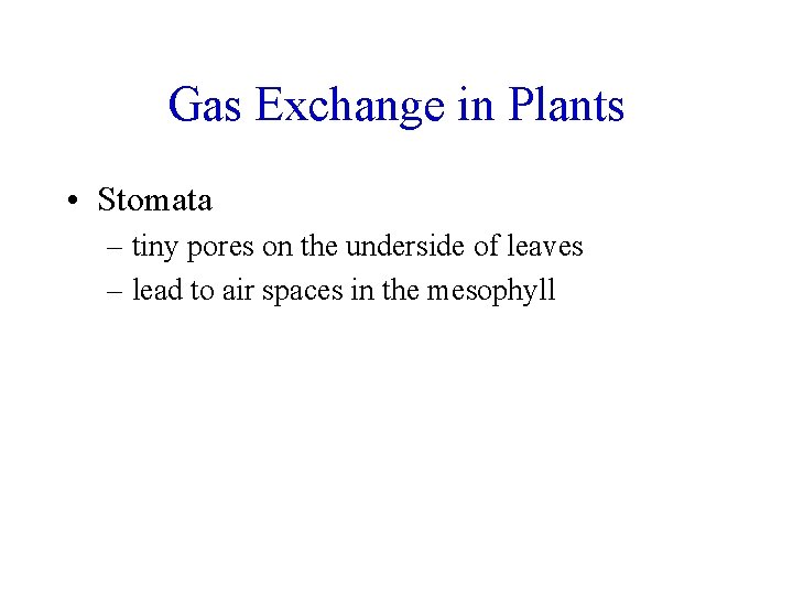 Gas Exchange in Plants • Stomata – tiny pores on the underside of leaves