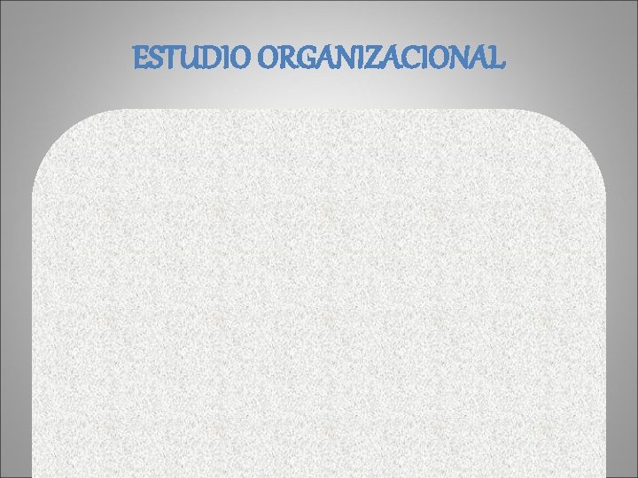 ESTUDIO ORGANIZACIONAL 