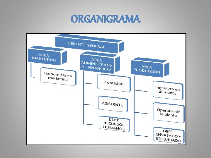 ORGANIGRAMA 