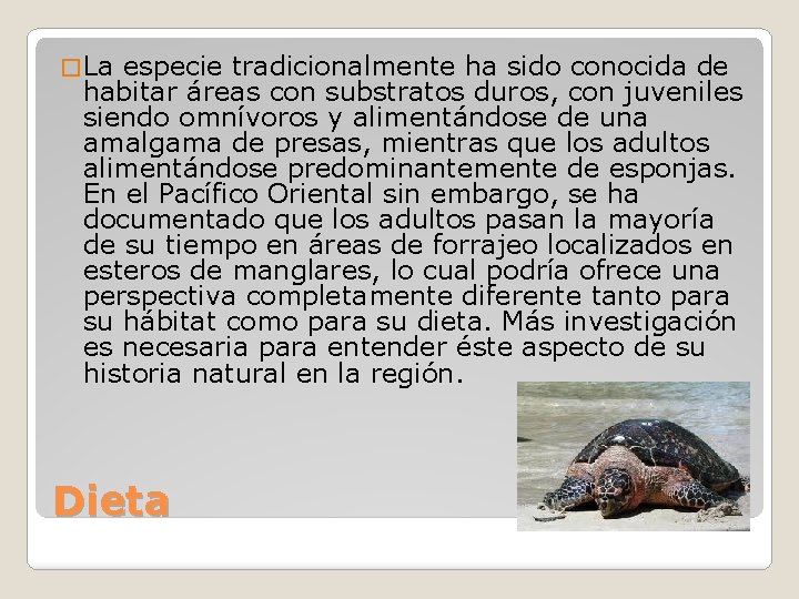 � La especie tradicionalmente ha sido conocida de habitar áreas con substratos duros, con