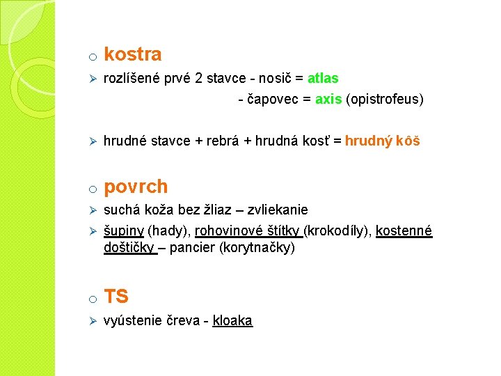 o kostra Ø rozlíšené prvé 2 stavce - nosič = atlas - čapovec =