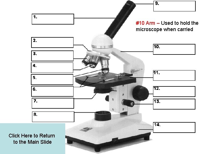 #10 Arm – Used to hold the microscope when carried Click Here to Return