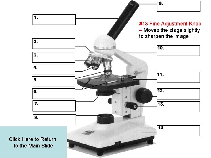 #13 Fine Adjustment Knob – Moves the stage slightly to sharpen the image Click