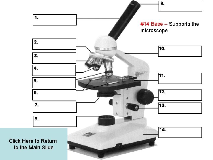 #14 Base – Supports the microscope Click Here to Return to the Main Slide