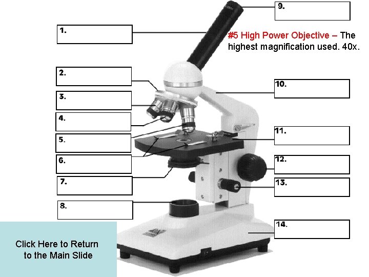 #5 High Power Objective – The highest magnification used. 40 x. Click Here to