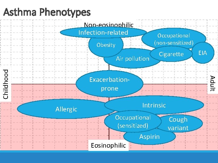 Asthma Phenotypes Non-eosinophilic Infection-related Active panel patients with DM Occupational (non-sensitized) Obesity Childhood Air