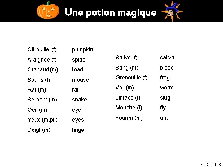 Une potion magique Citrouille (f) pumpkin Araignée (f) spider Salive (f) saliva Crapaud (m)