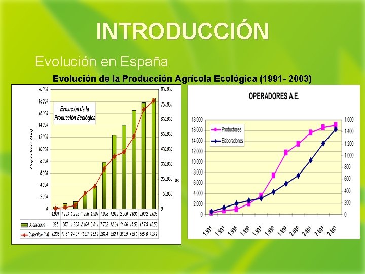 INTRODUCCIÓN Evolución en España Evolución de la Producción Agrícola Ecológica (1991 - 2003) 
