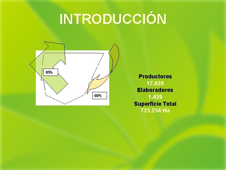 INTRODUCCIÓN 85% 60% Productores 17. 028 Elaboradores 1. 439 Superficie Total 725. 254 Ha