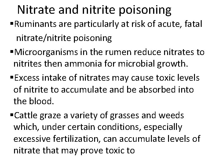 Nitrate and nitrite poisoning §Ruminants are particularly at risk of acute, fatal nitrate/nitrite poisoning