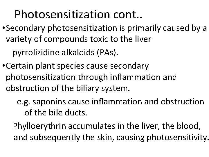 Photosensitization cont. . • Secondary photosensitization is primarily caused by a variety of compounds