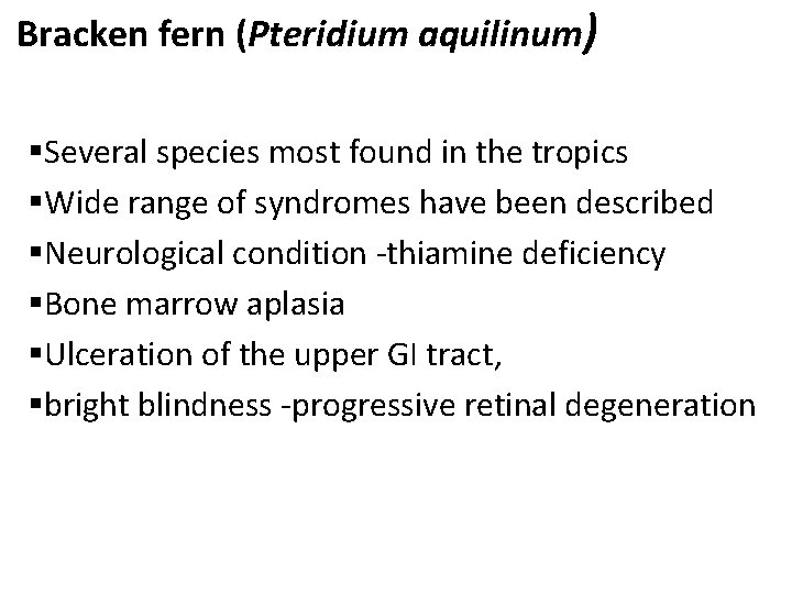 Bracken fern (Pteridium aquilinum) §Several species most found in the tropics §Wide range of