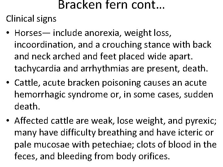 Bracken fern cont… Clinical signs • Horses— include anorexia, weight loss, incoordination, and a