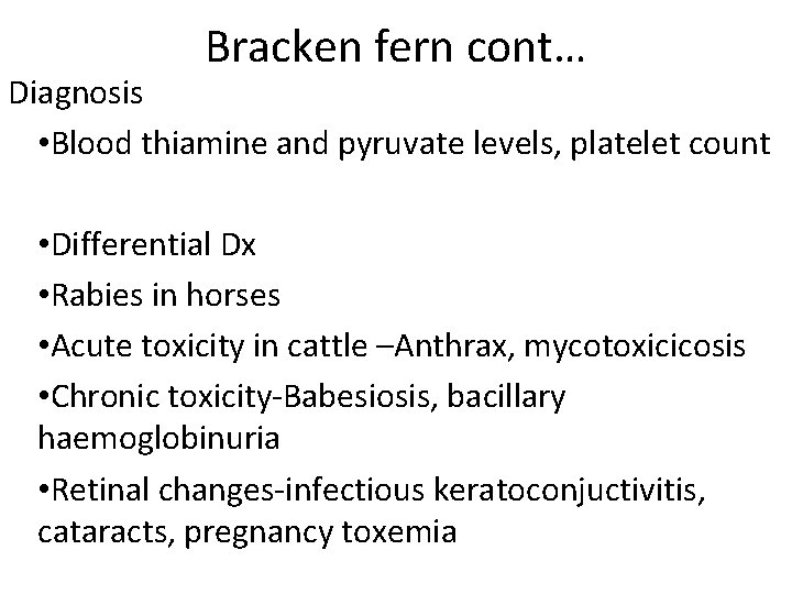 Bracken fern cont… Diagnosis • Blood thiamine and pyruvate levels, platelet count • Differential