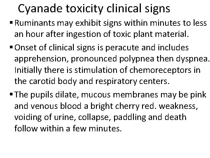 Cyanade toxicity clinical signs § Ruminants may exhibit signs within minutes to less an