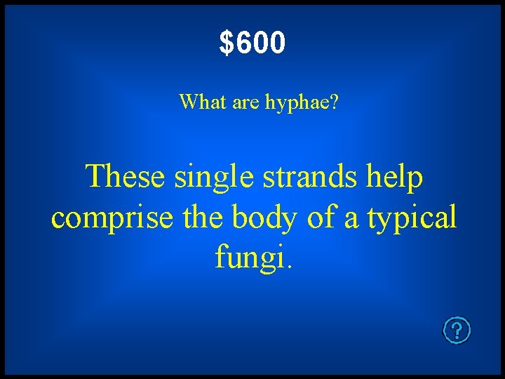 $600 What are hyphae? These single strands help comprise the body of a typical