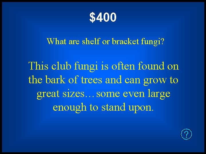 $400 What are shelf or bracket fungi? This club fungi is often found on