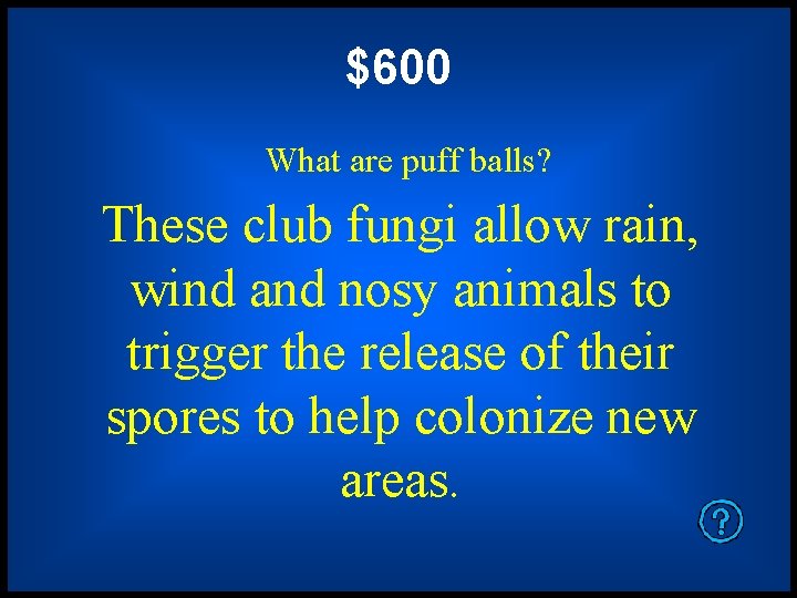 $600 What are puff balls? These club fungi allow rain, wind and nosy animals