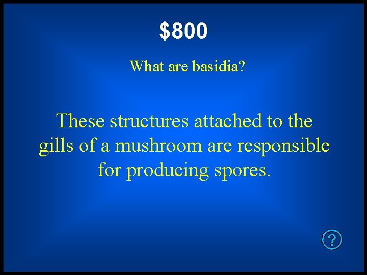 $800 What are basidia? These structures attached to the gills of a mushroom are