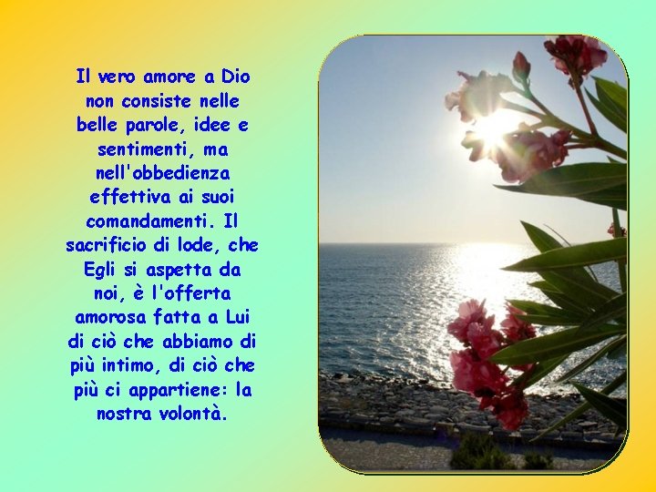 Il vero amore a Dio non consiste nelle belle parole, idee e sentimenti, ma