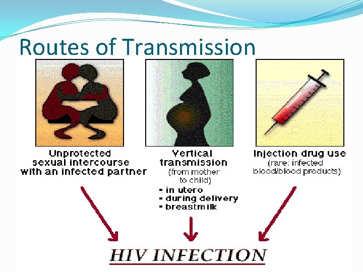 Routes of Transmission 