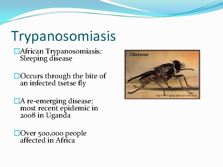 Trypanosomiasis �African Trypanosomiasis: Sleeping disease �Occurs through the bite of an infected tsetse fly