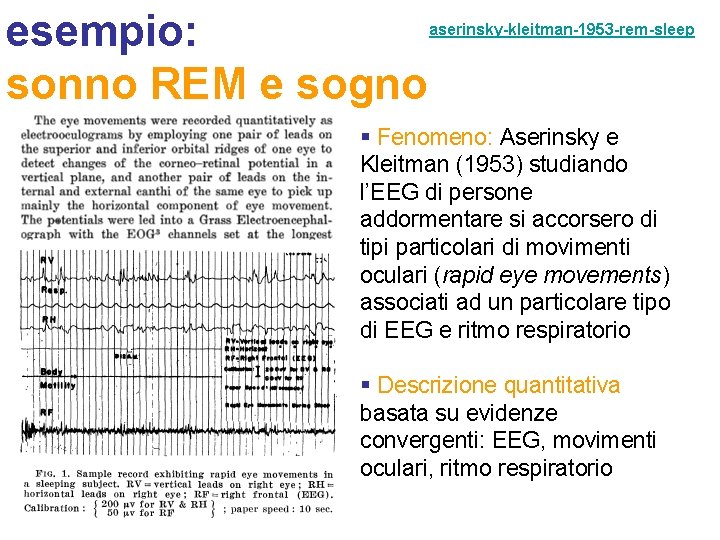 esempio: sonno REM e sogno aserinsky-kleitman-1953 -rem-sleep § Fenomeno: Aserinsky e Kleitman (1953) studiando